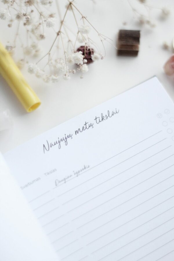 Laimės kalendorius - Darbo knyga - My daily planner - Image 5