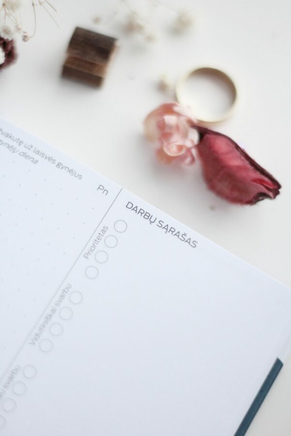Laimės kalendorius - Darbo knyga - My daily planner - Image 3