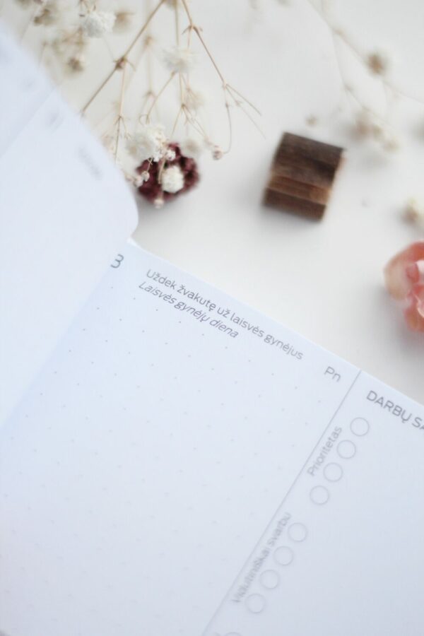 Laimės kalendorius - Darbo knyga - My daily planner - Image 2